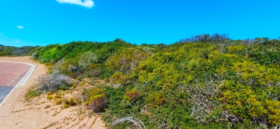 Commercial Property for Sale in Moquini Coastal Estate Western Cape
